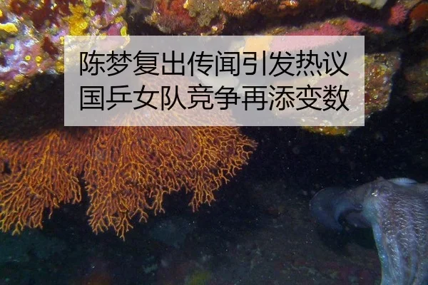 chen-meng-fu-chu-chuan-wen-yin-fa-re-yi-guo-ping-nv-dui-jing-zheng-zai-tian-bian-shu-2-394.jpg